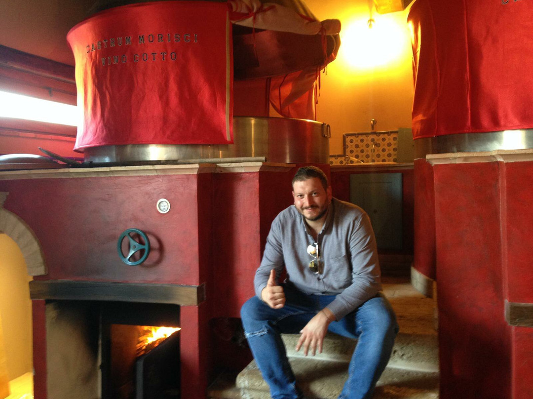 Cantina Castrum Morisci景点图片