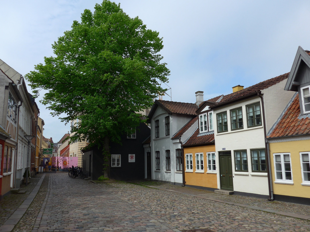 Fyn's Graphic Workshop-欧登塞必去景点