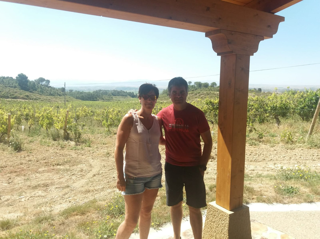 Bodegas Hacienda El Ternero-Ternero必去景点