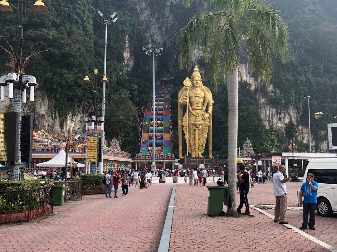 Taman Negara Day Tour景点图片