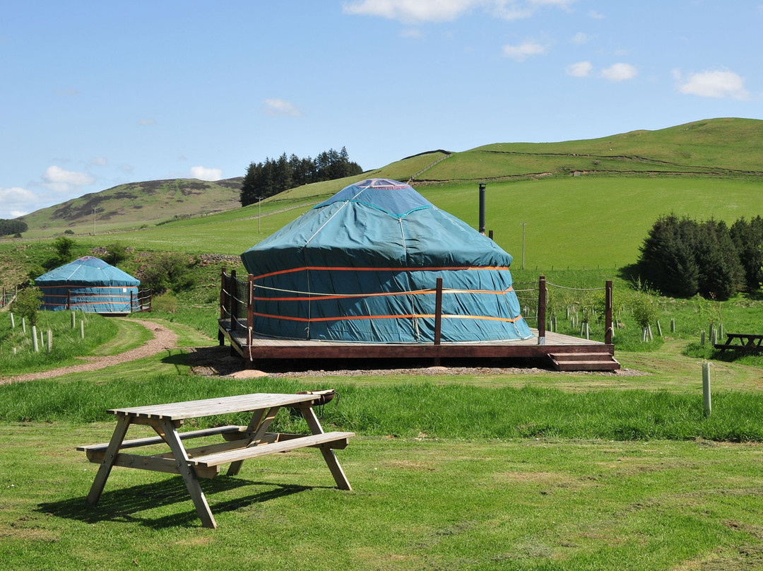 Ettrick Valley Yurts