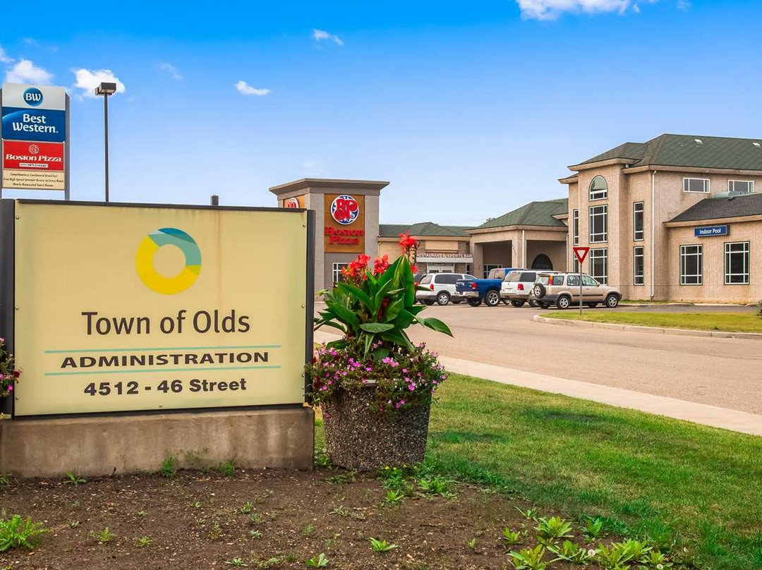 Best Western Of Olds主图