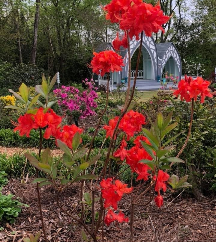 Highgate Estate & Gardens景点图片