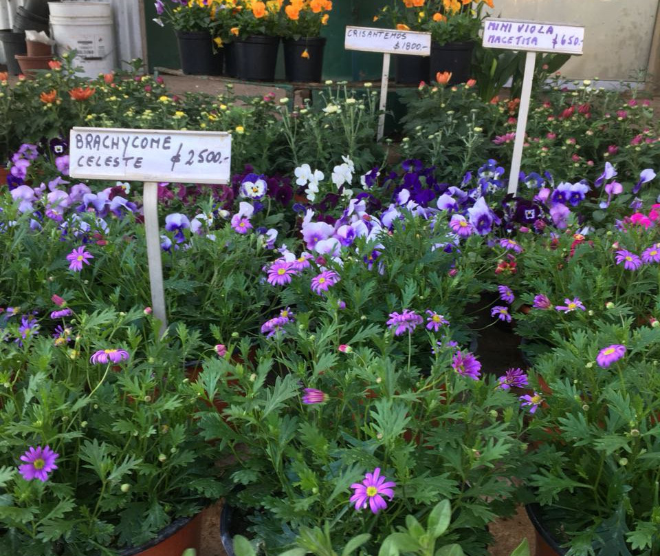 Jardin Suizo-卡萨布兰卡必去景点