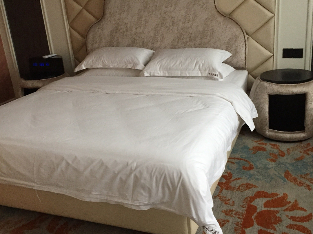 汾水大酒店主图