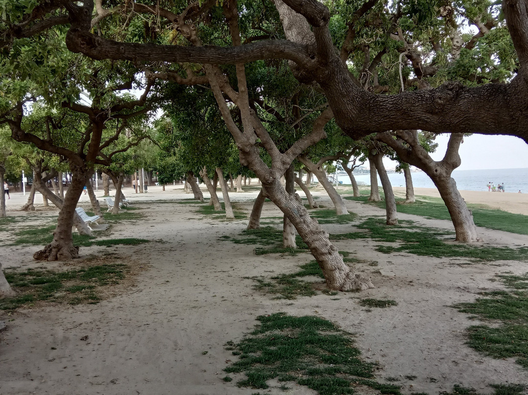 Playa del Callao-马塔罗必去景点