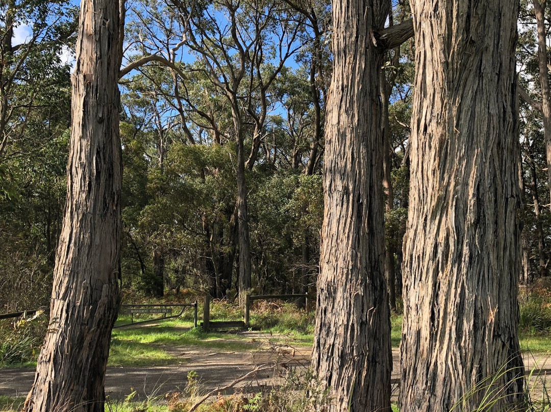 The Gurdies Nature Reserve-The Gurdies必去景点