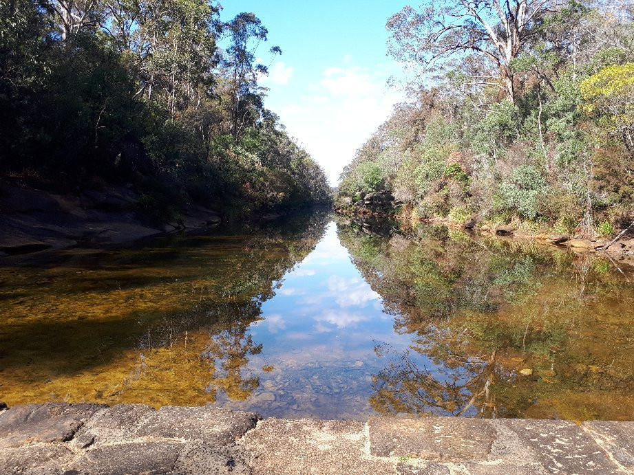 Ingleburn Reserve景点图片