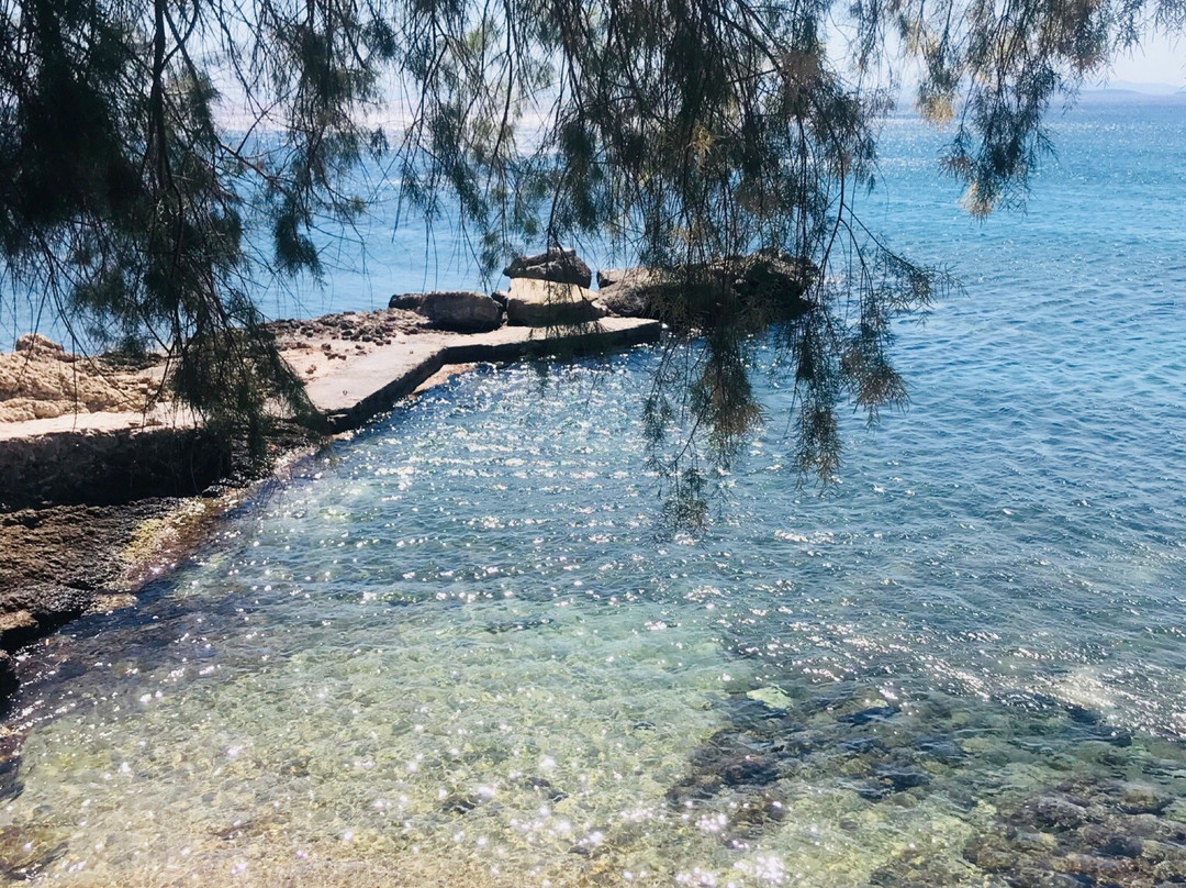 Tahiti Beach Bar景点图片