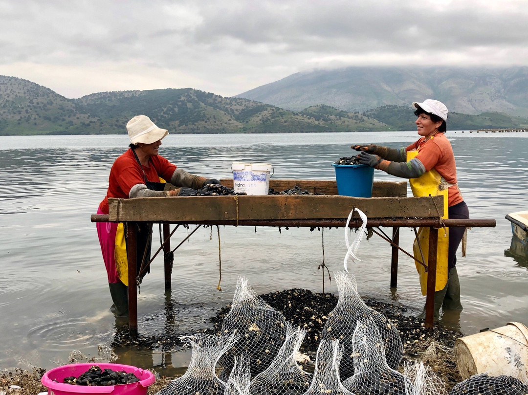 Mussel Tour-Ksamil必去景点