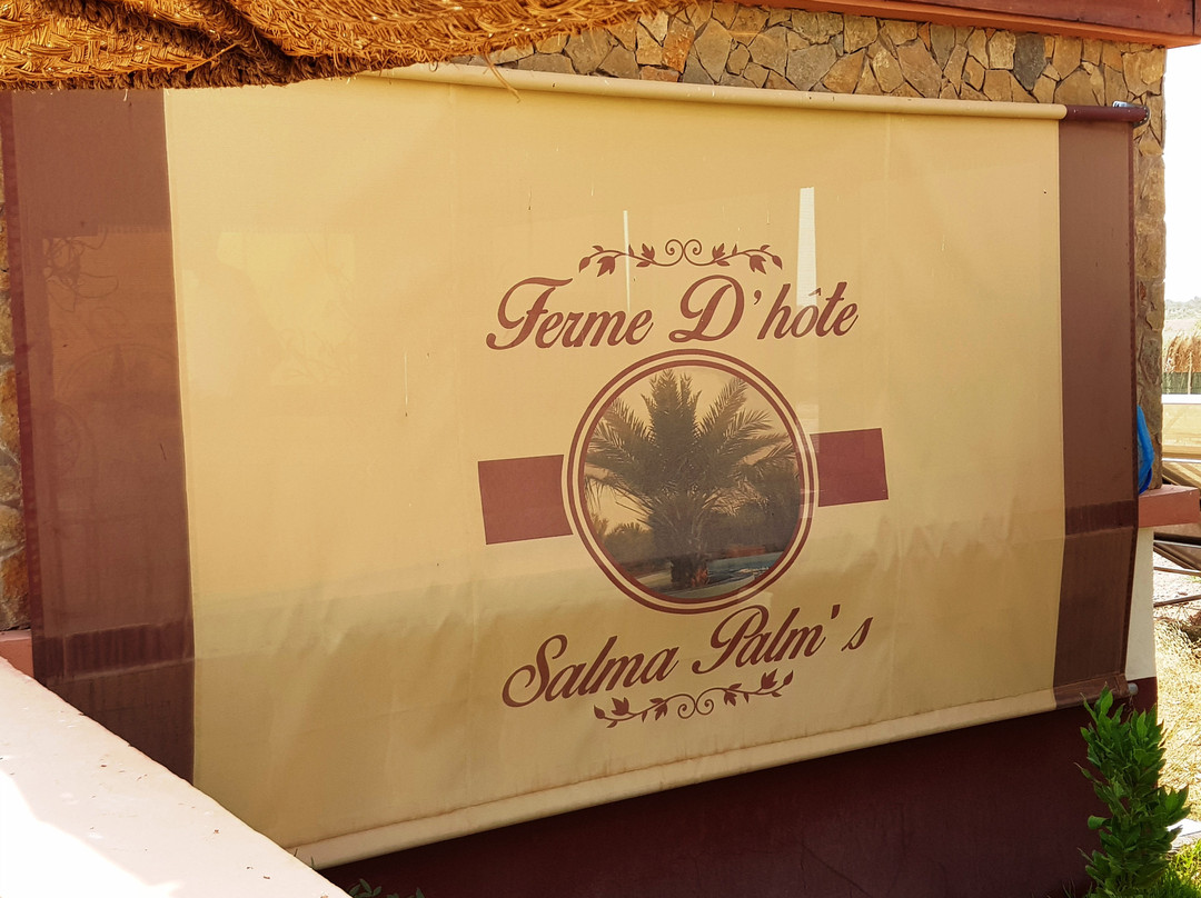 Salma Palms Hôtel主图