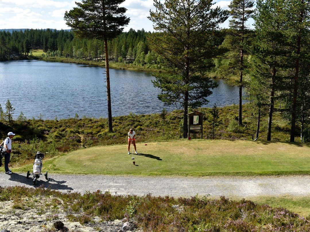 Idrefjällen Golfbana景点图片