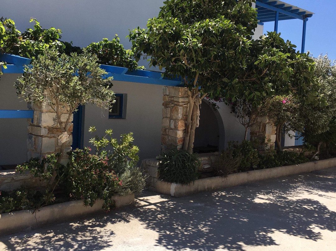 Studios Panorama Drios
