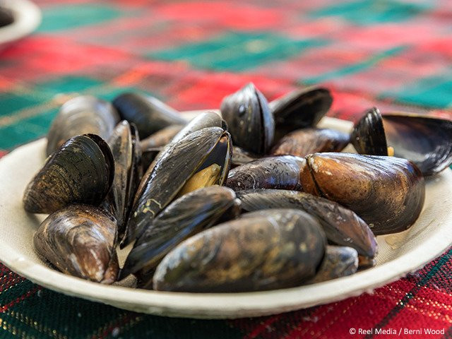 Pauley Charter and Adventure Tours-Vernon Bridge必去景点