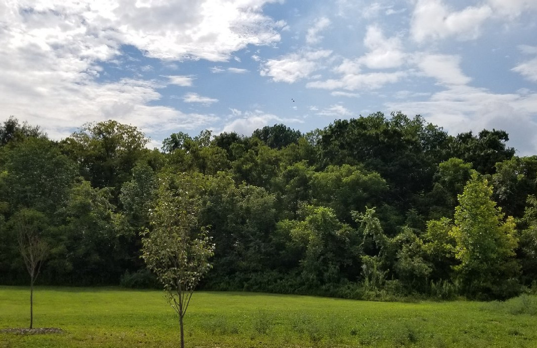 Vietnam Veterans Memorial Wall-伊丽莎白敦必去景点