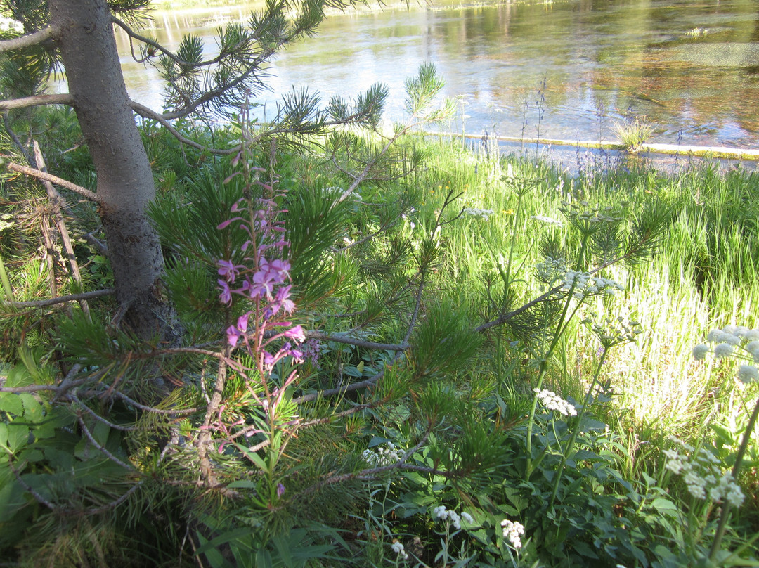 Big Springs-艾兰帕克必去景点