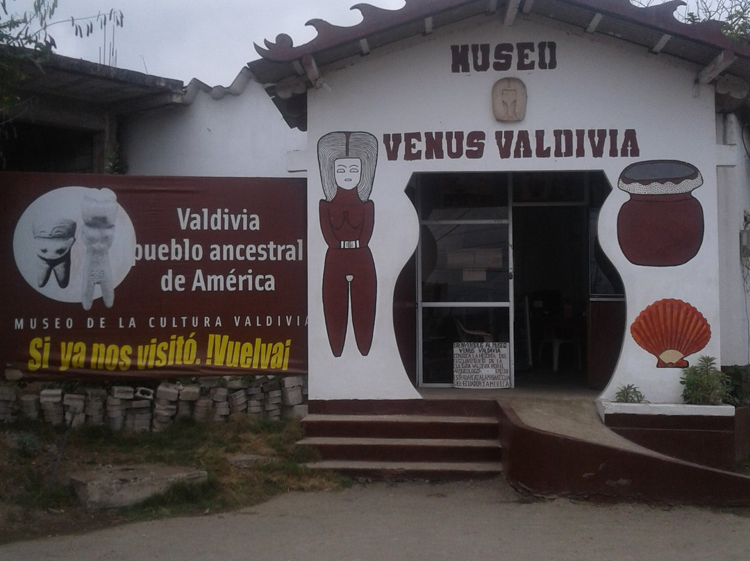 Museo Valdivia景点图片
