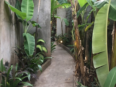 Lost Plate Phnom Penh Food Tours-金边必去景点