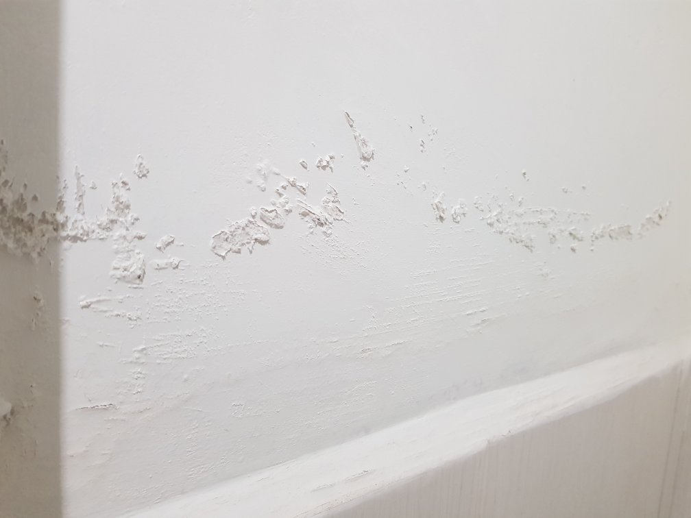 Hotel Terraza San Pedrito-官方