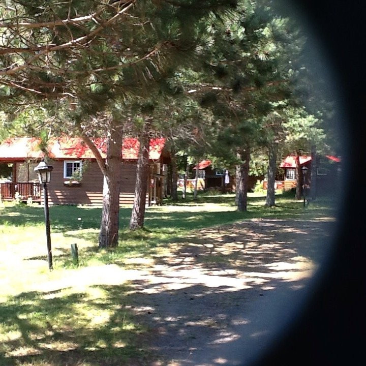 Cabins at the Domain主图