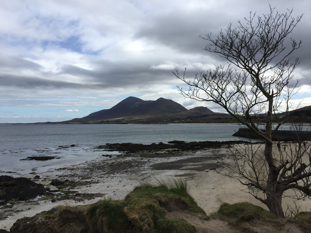 Old Head Beach景点图片