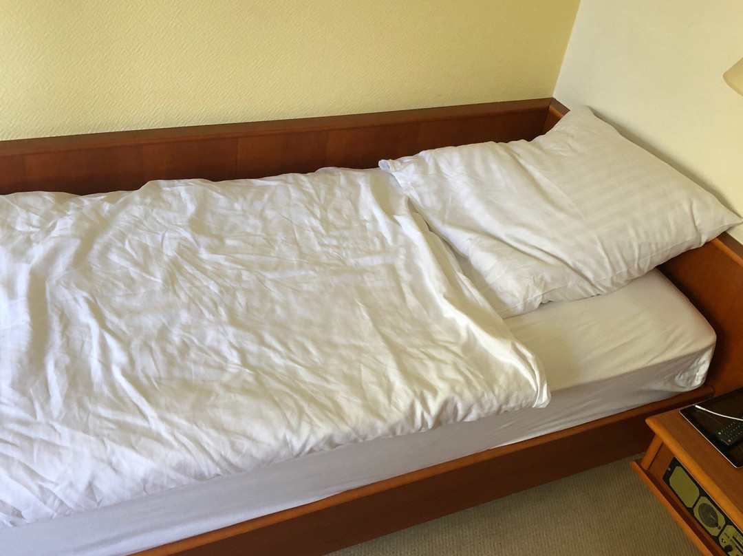 Hotel Bullerdieck主图