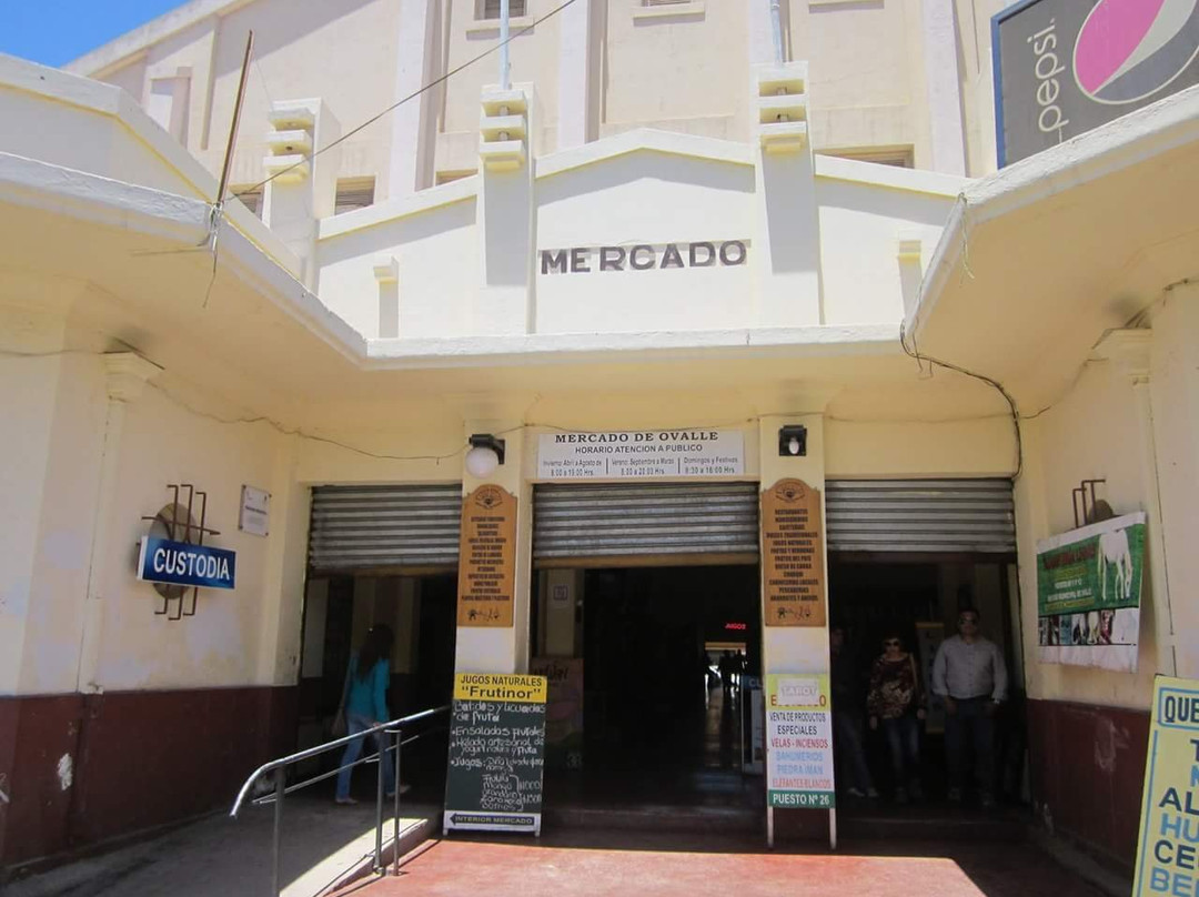 Ovalle餐馆和美食-Valle del encanto