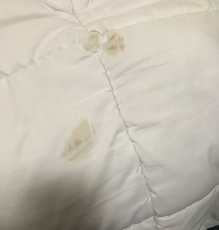 Rafee Leicester Thrussington主图