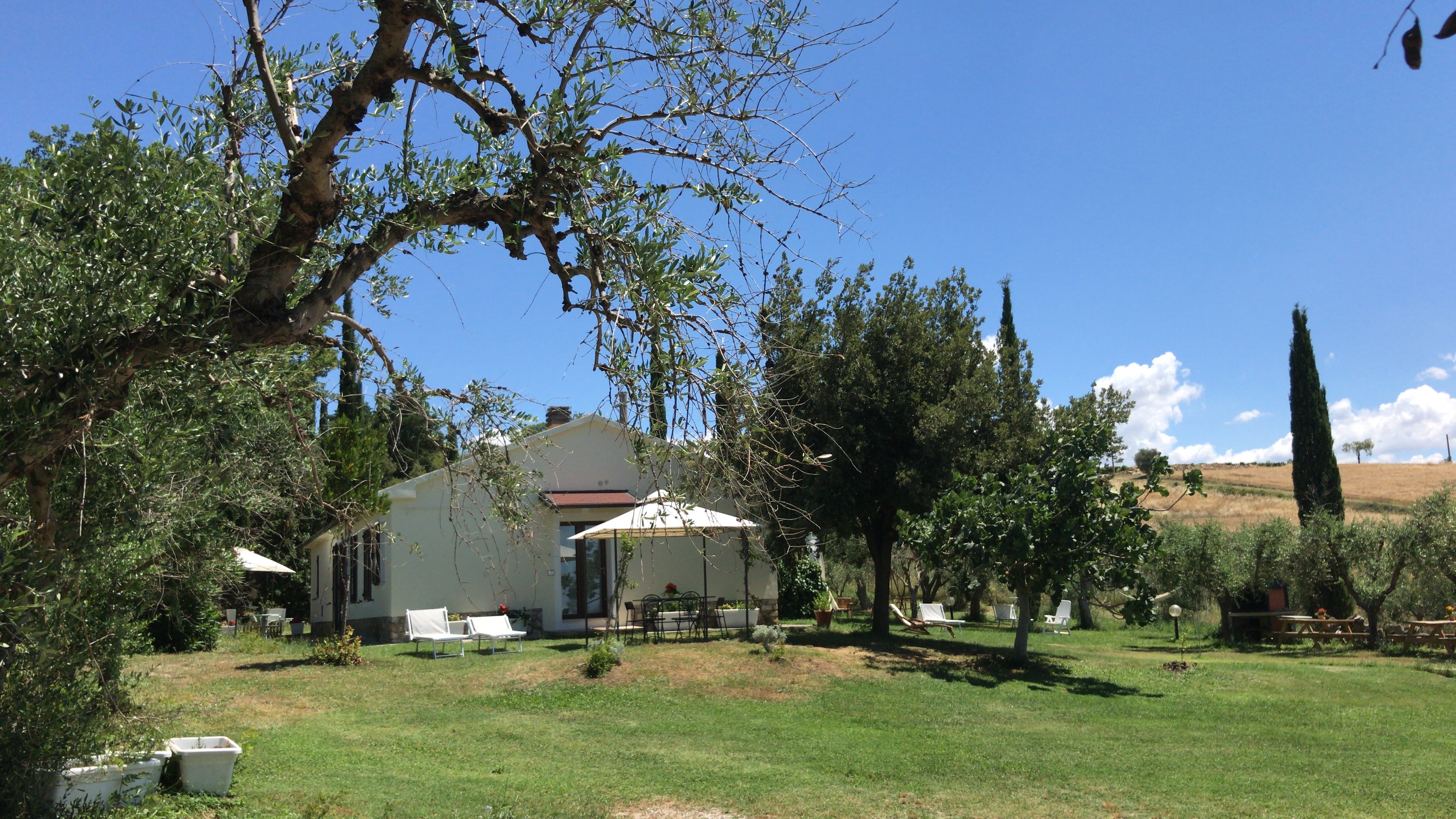 Artemisia negli Ulivi B&B-官方