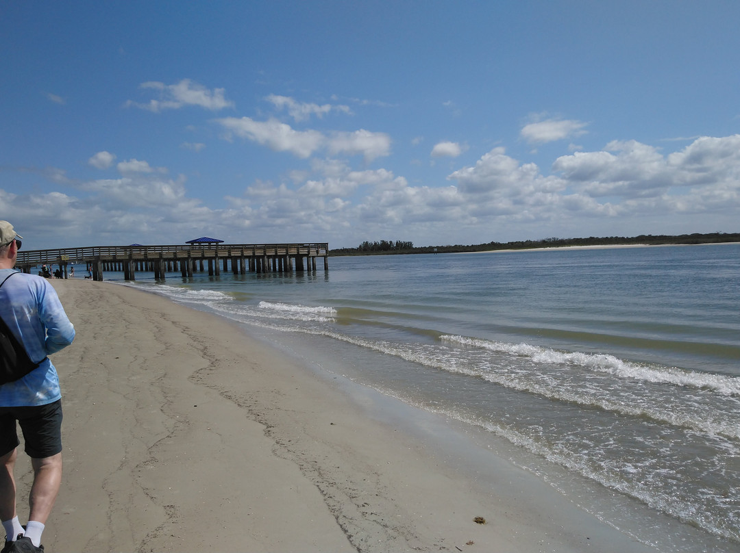 New Smyrna Beach Dog Park景点图片