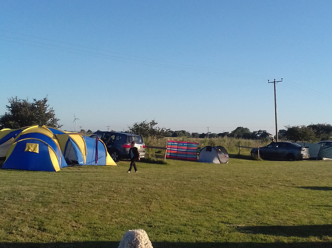 Standen Lodge Campsite