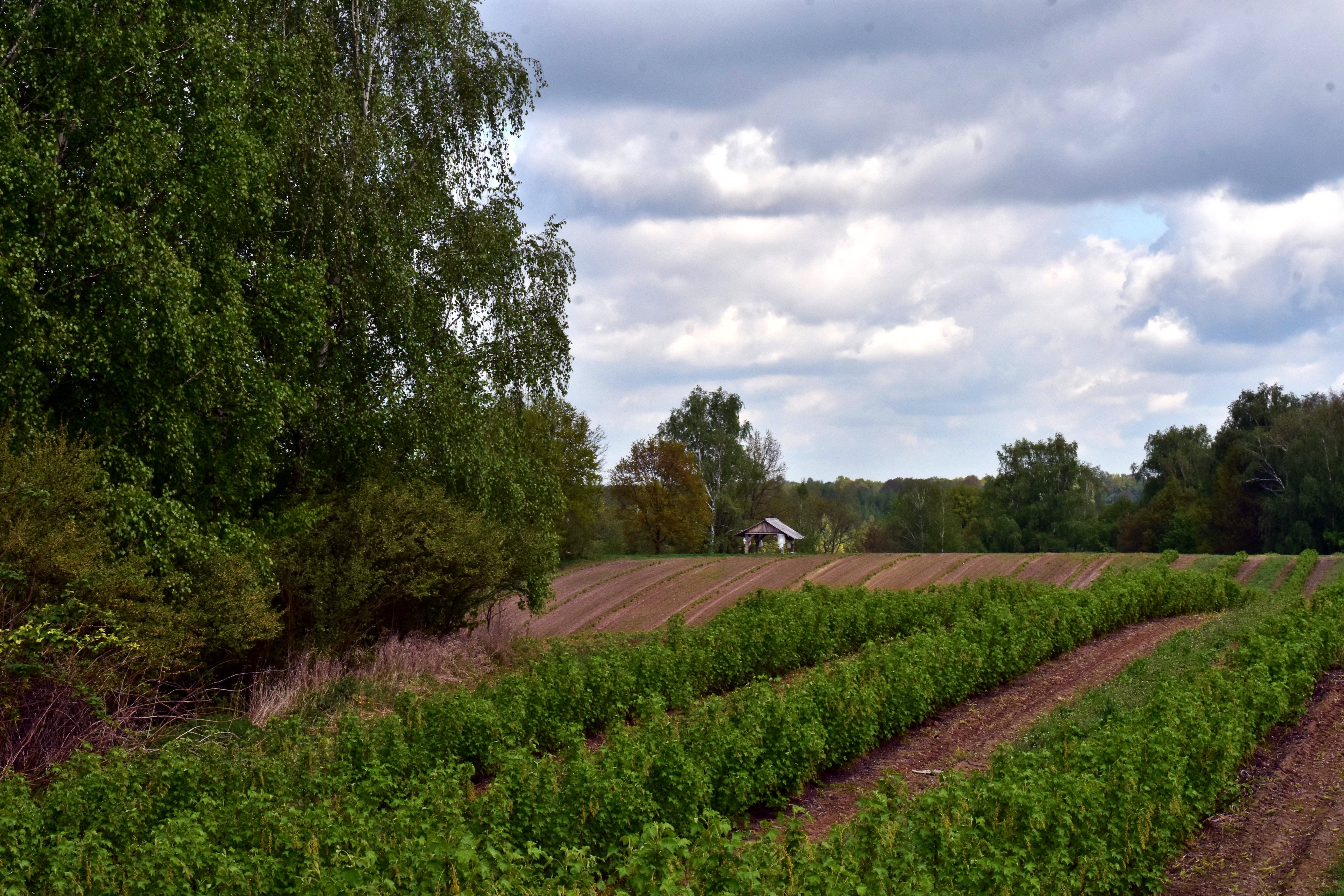 Lubinowe Wzgorze (Lupine Hill) - HEALING VILLAGE-浴室