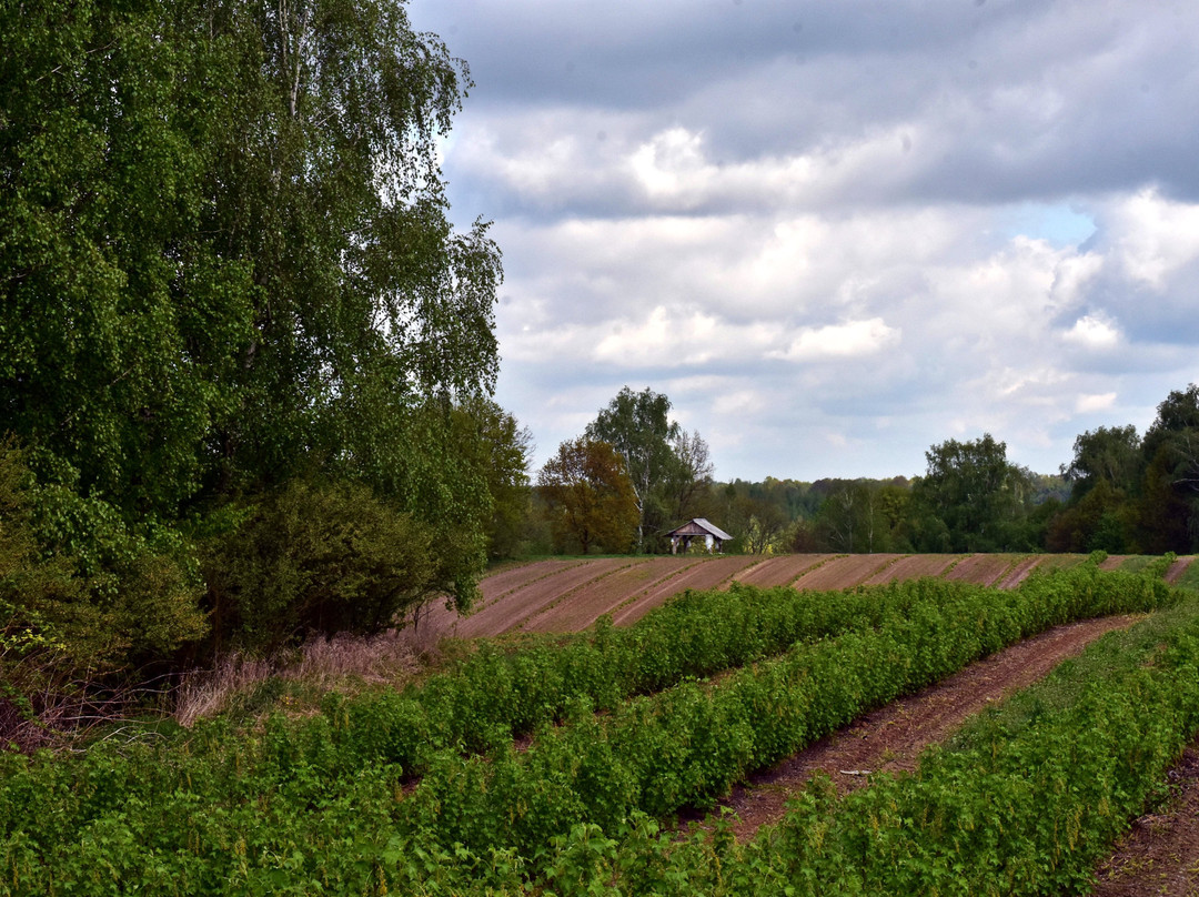 Lubinowe Wzgorze (Lupine Hill) - HEALING VILLAGE主图
