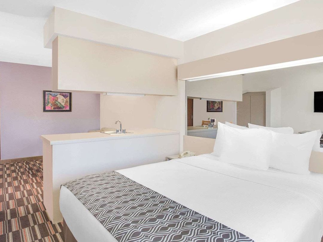 Microtel Inn & Suites By Wyndham Appleton主图