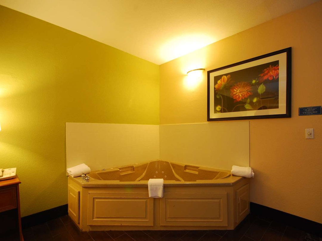 Surestay Hotel By Best Western Alice主图