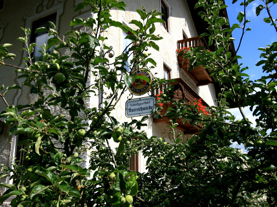Landgasthof Auerschmiede主图