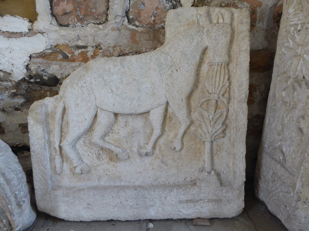 Archaeological Museum, Korça景点图片