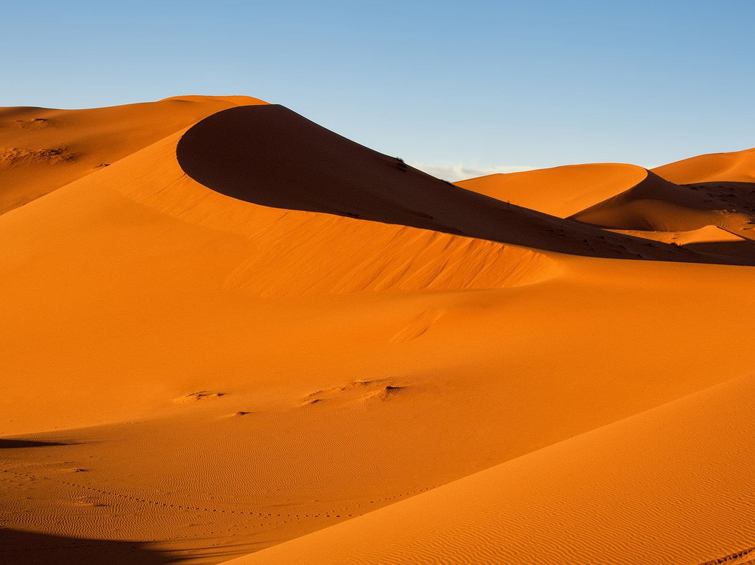 Travel Tours Morocco - Desert Tours-卡萨布兰卡必去景点