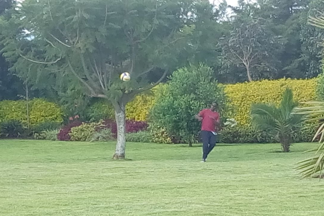 Wima Serenity Gardens主图