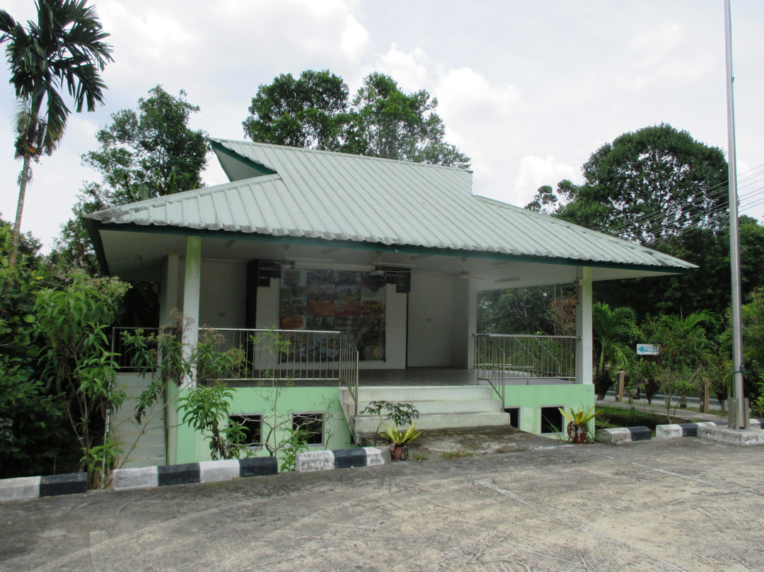 Kampung Putat Herb Garden-斯里巴加湾必去景点