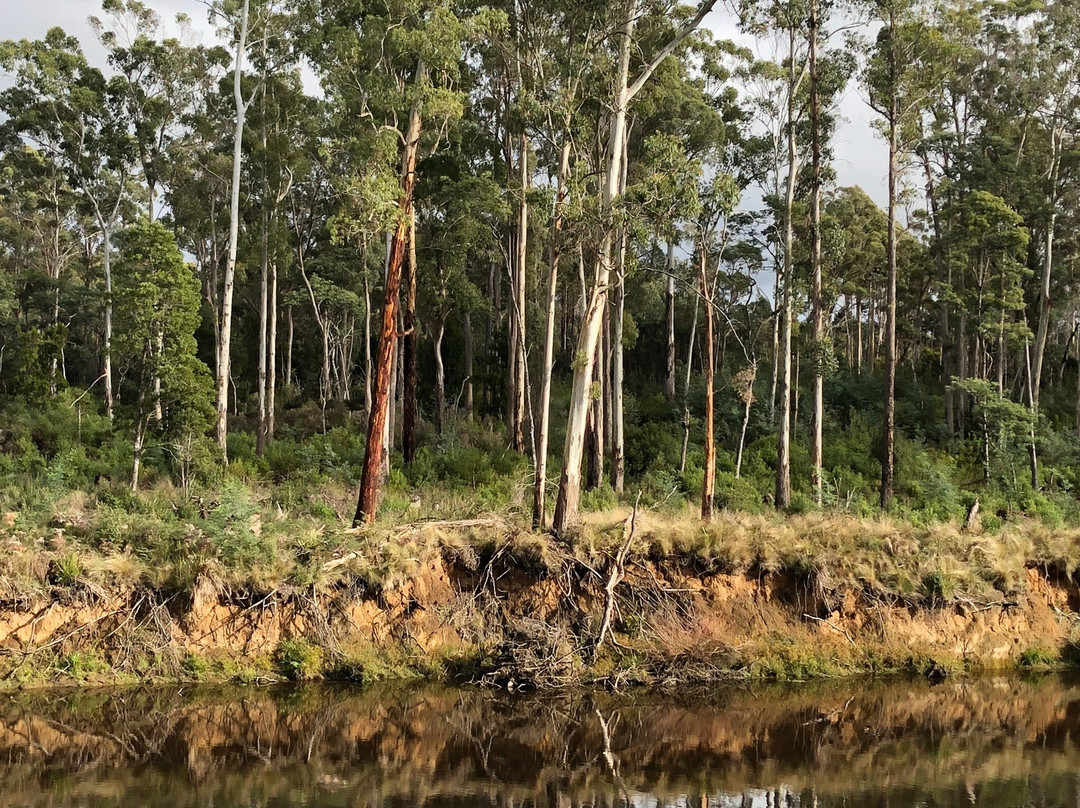 Warrawee Forest Reserve景点图片