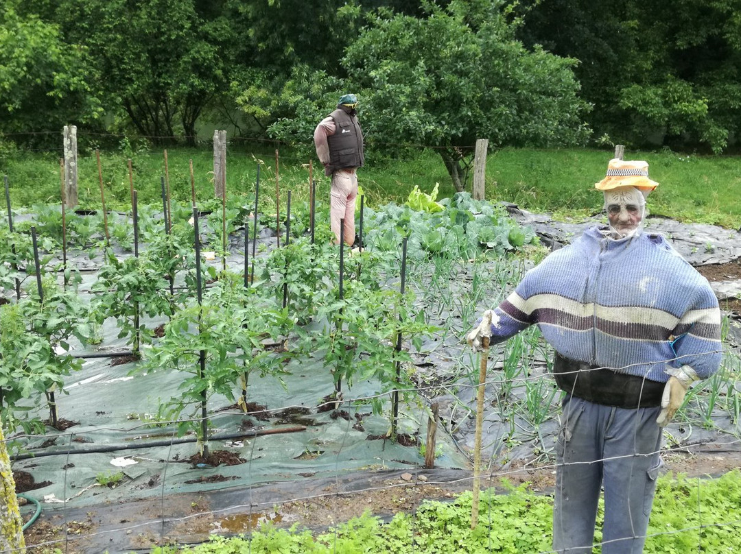 Via verde del Bidasoa-Doneztebe必去景点
