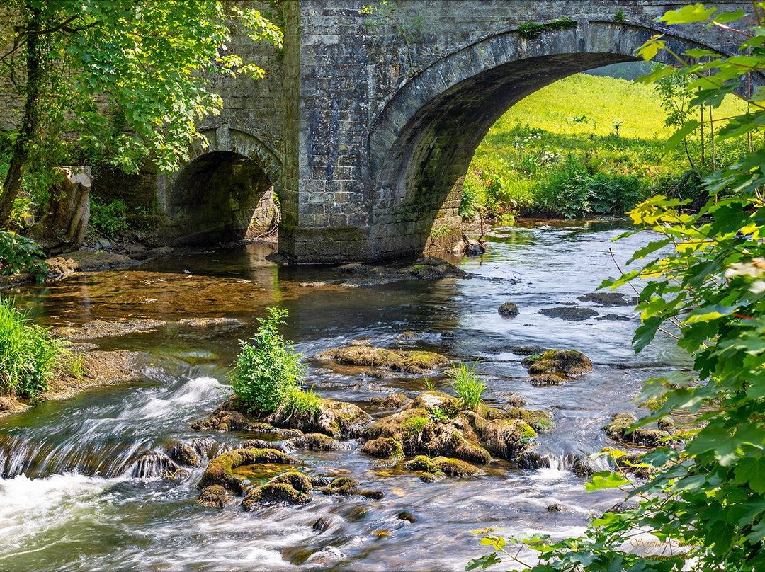 Llwyngwair Manor主图