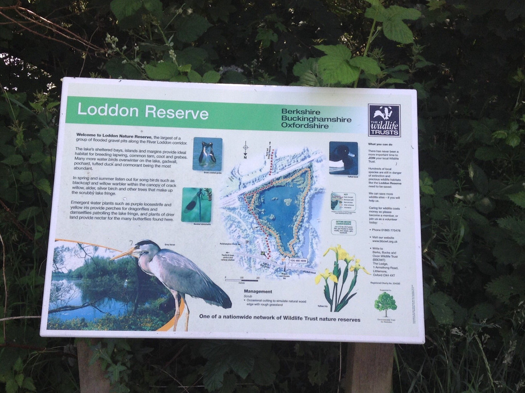 Loddon Nature Reserve景点图片