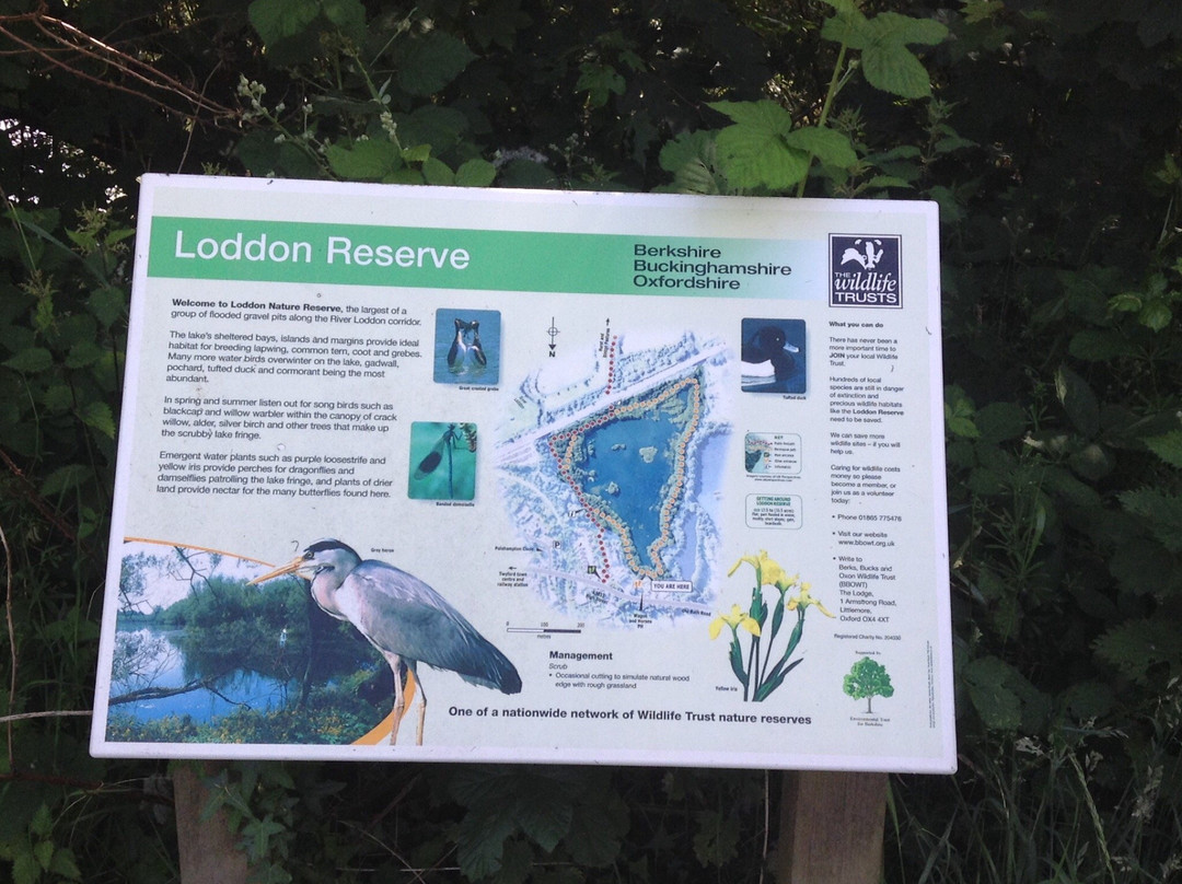 Loddon Nature Reserve-Twyford必去景点