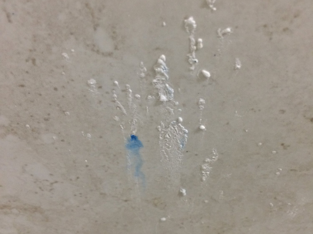 Palm Tree Villas主图