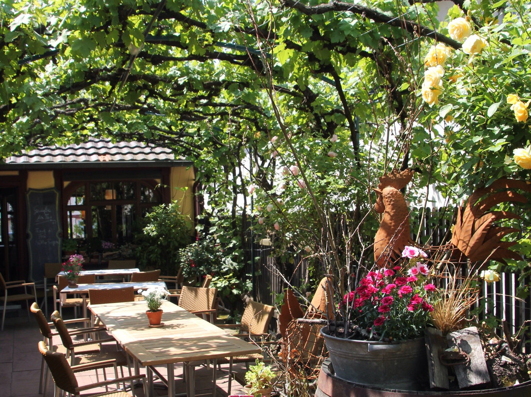 Weinhaus Stern Hotel主图