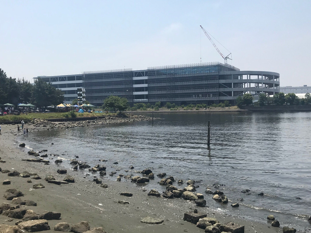 Oi Central Seaside Park-品川区必去景点