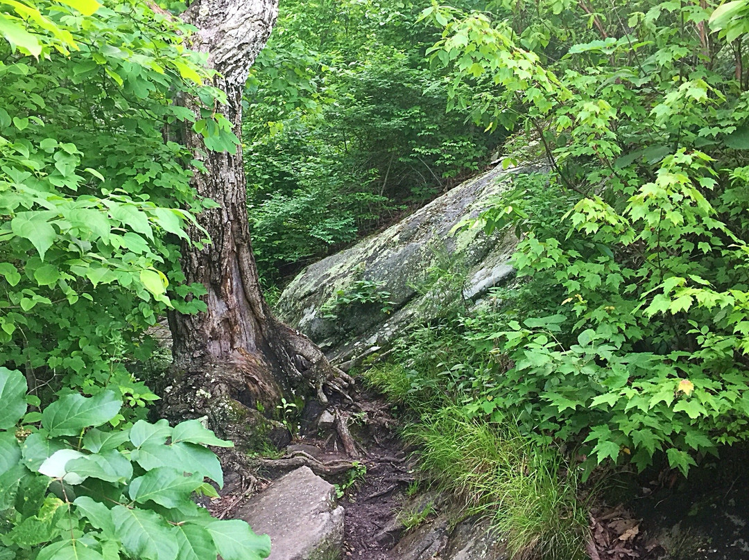 Pine Mountain State Resort Park-Pineville必去景点