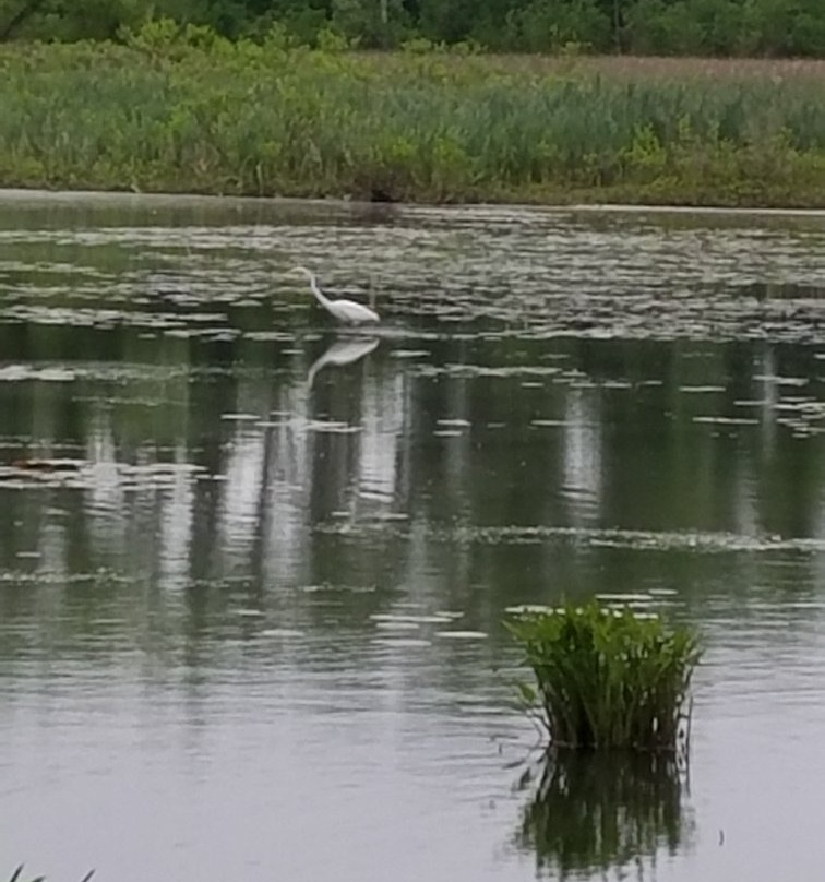 Fannie Stebbins Memorial Wildlife Refuge景点图片